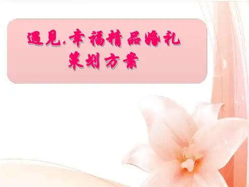 遇见幸福浪漫主题婚礼的的策划的方案