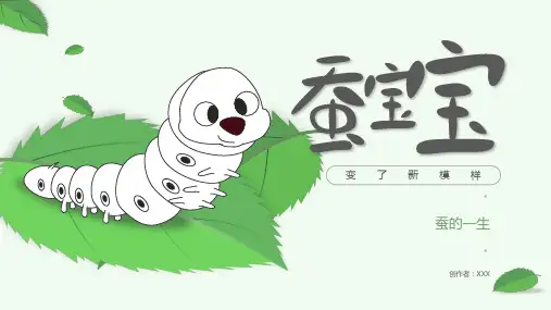 卡通桑蚕宝宝科普知识PPT模板