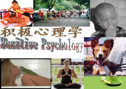 积极心理学概述(课堂PPT)