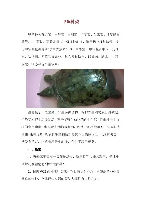 甲鱼种类_精品文档