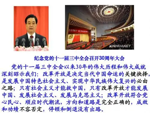 党的十一届三中全会以来30年的伟大历程和伟大成就深刻昭示