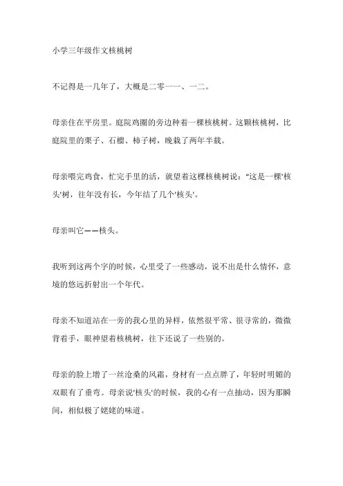 小学三年级作文核桃树