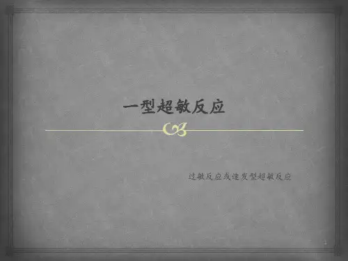 一型超敏反应   ppt课件