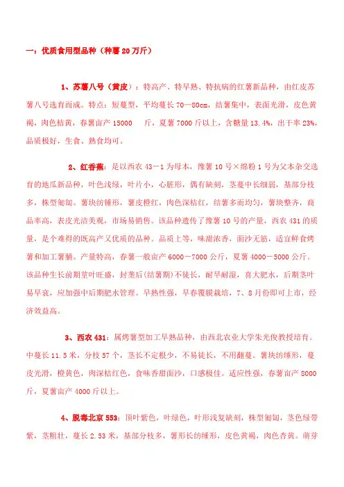 红薯品种介绍