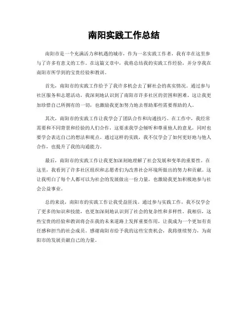 南阳实践工作总结
