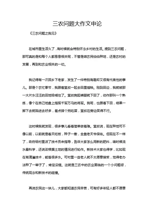 三农问题大作文申论