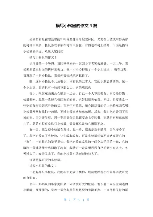 描写小松鼠的作文4篇