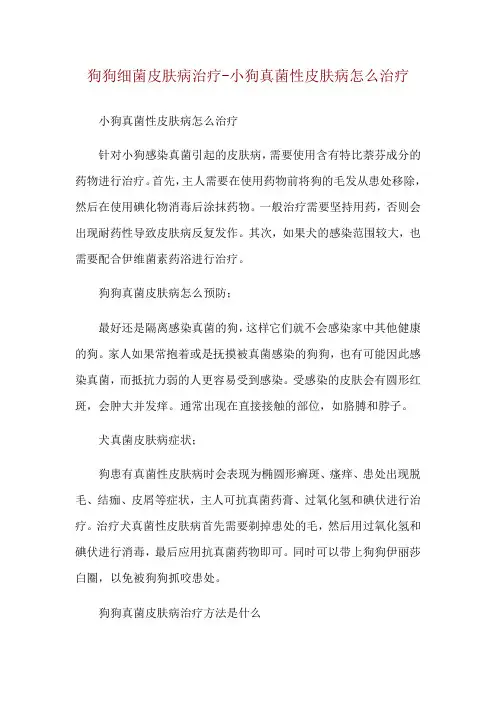 狗狗细菌皮肤病治疗-小狗真菌性皮肤病怎么治疗