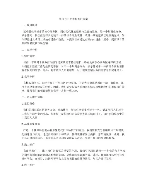 某项目二期市场推广提案