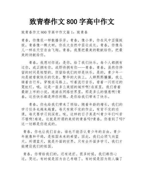 致青春作文800字高中作文