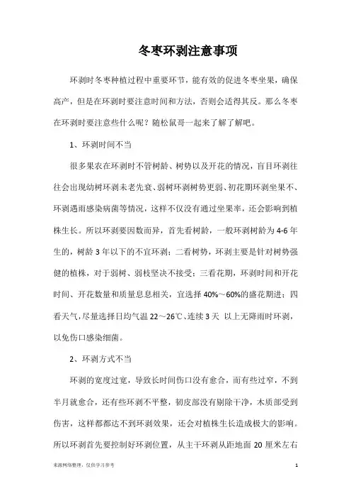 冬枣环剥注意事项