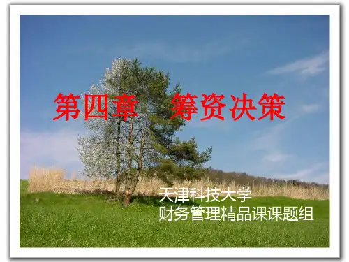第四部分筹资决策教学-PPT精选