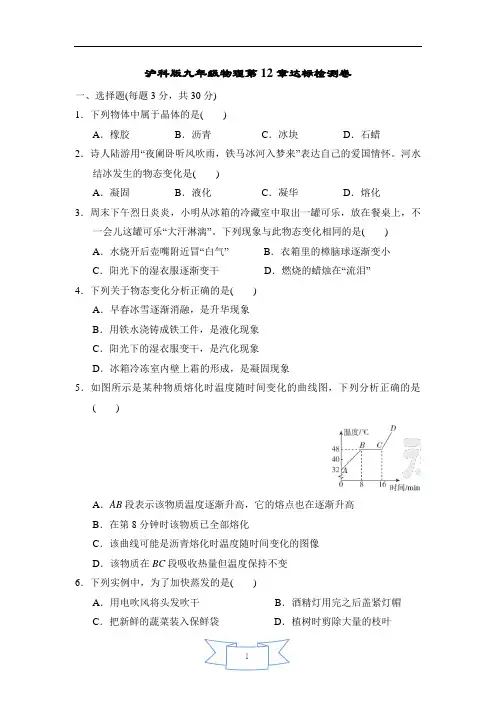 沪科版九年级物理第12章达标检测卷含答案