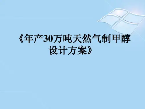 年产30万吨甲醇项目建议书