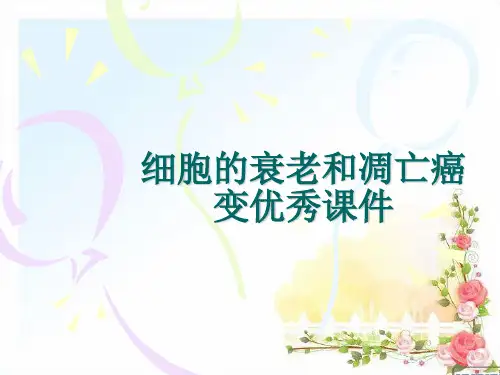 细胞的衰老和凋亡癌变优秀课件