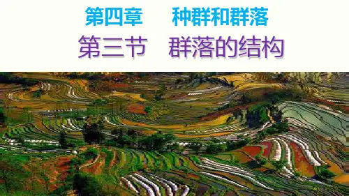 人教版高中生物必修三课件  4.3 群落的结构
