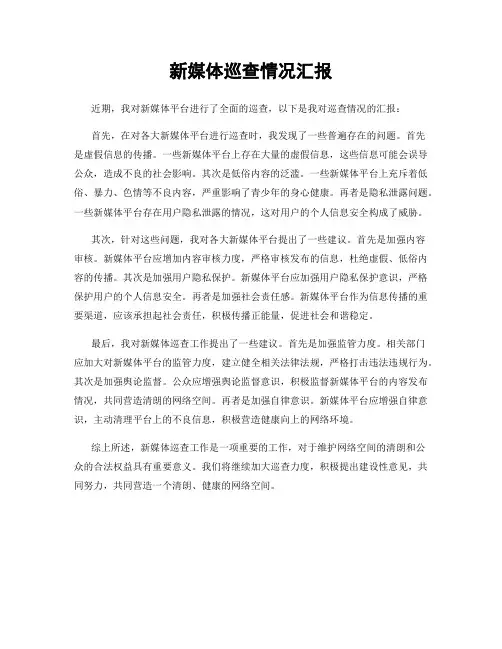 新媒体巡查情况汇报