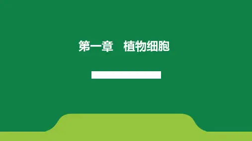 第一章 -植物细胞-植物细胞的形态和基本结构