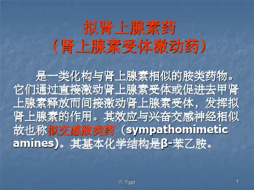 肾上腺素受体激动药拟肾上腺素药