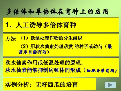 生物单倍体育种多倍体育种课件