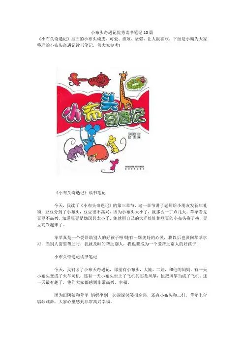 小布头奇遇记优秀读书笔记10篇 