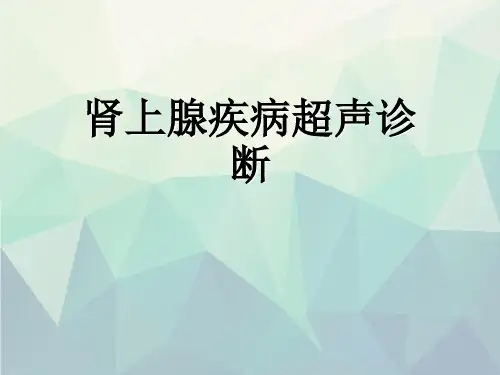 优选肾上腺疾病超声诊断