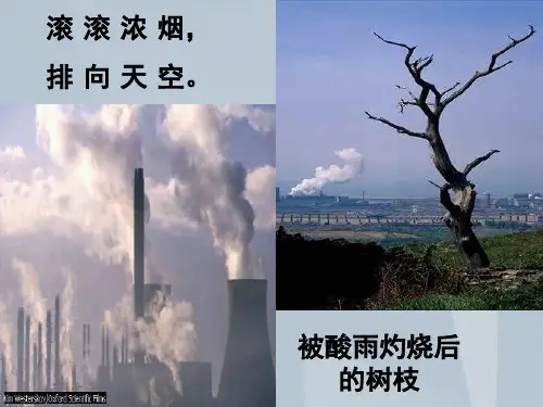 人类面临严重的环境问题PPT模板