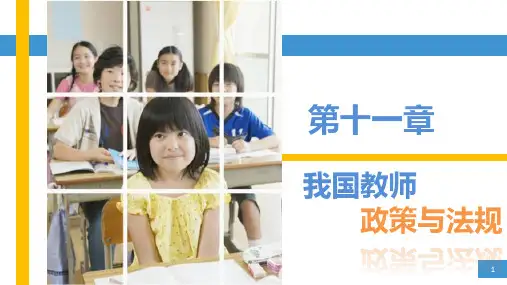 《教育政策法规》第十一章