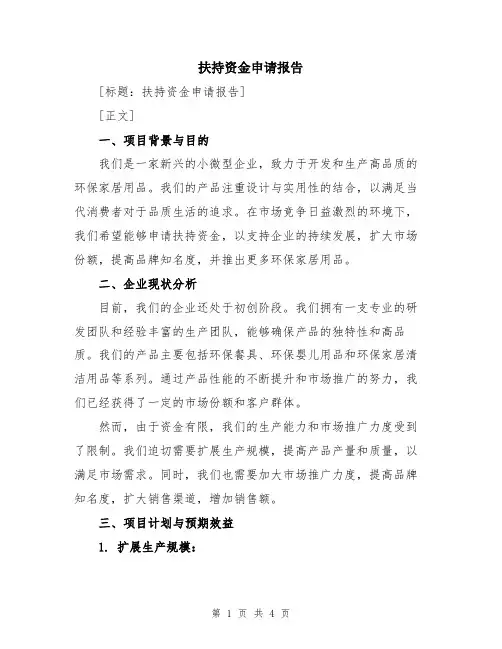 扶持资金申请报告