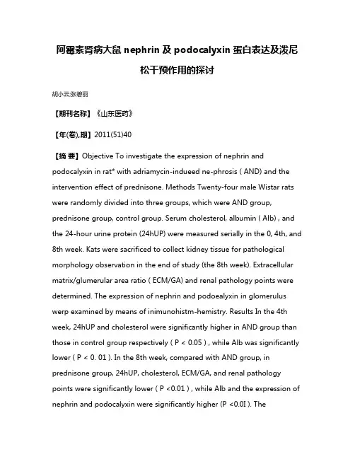 阿霉素肾病大鼠nephrin及podocalyxin蛋白表达及泼尼松干预作用的探讨