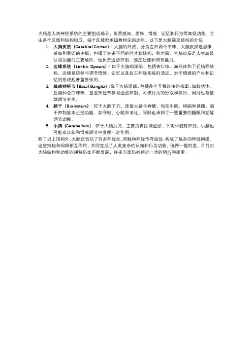 大脑简单结构介绍