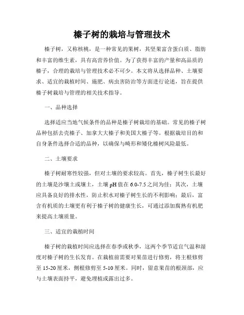 榛子树的栽培与管理技术