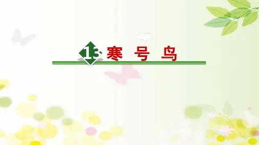 《寒号鸟》ppt课件