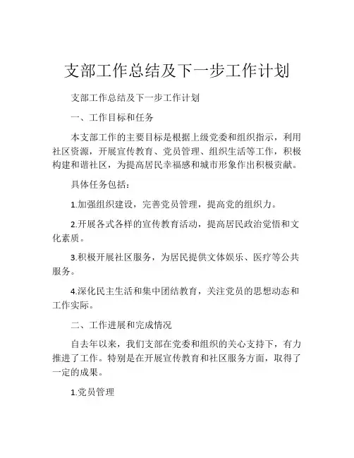 支部工作总结及下一步工作计划