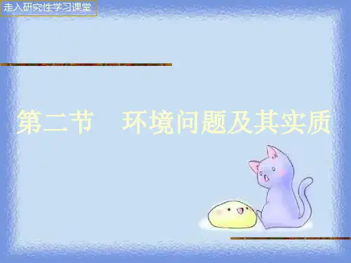 环境问题及其实质
