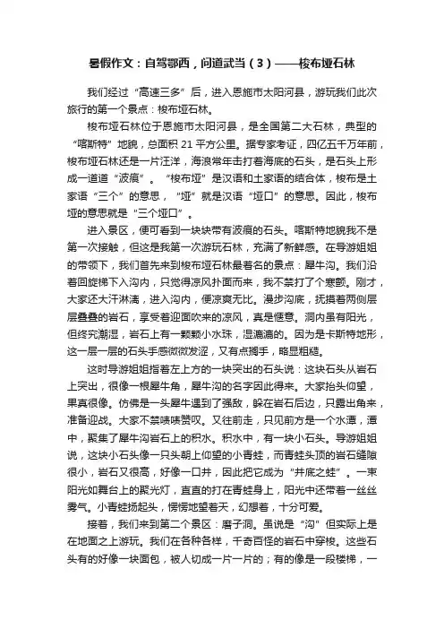 暑假作文：自驾鄂西，问道武当（3）——梭布垭石林