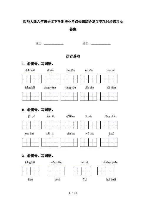 西师大版六年级语文下学期毕业考点知识综合复习专项同步练习及答案