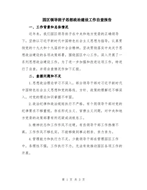 园区领导班子思想政治建设工作自查报告