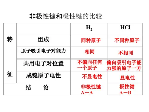 极性键和非极性共价键ppt课件