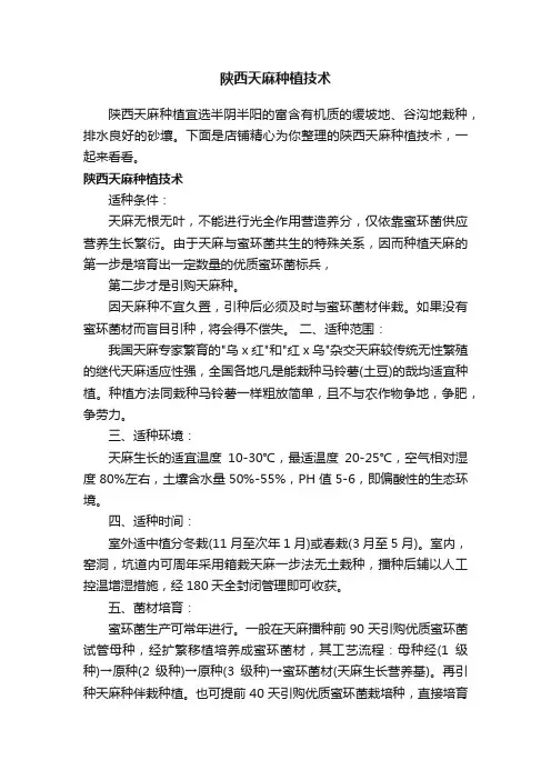 陕西天麻种植技术