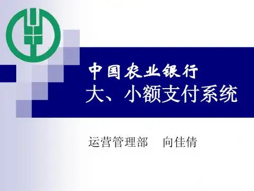 13_大、小额支付系统讲义