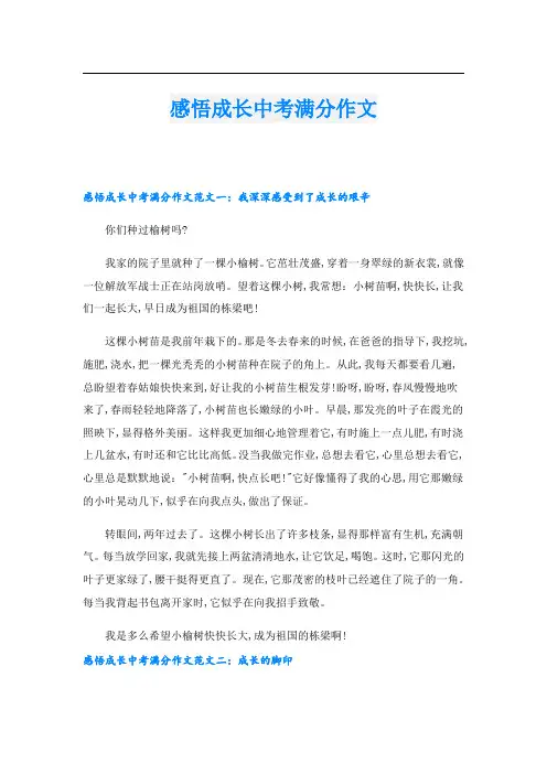 感悟成长中考满分作文