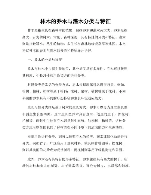 林木的乔木与灌木分类与特征