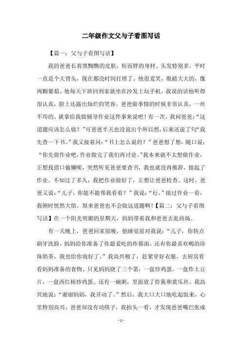 二年级作文父与子看图写话