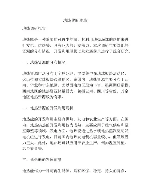 地热 调研报告