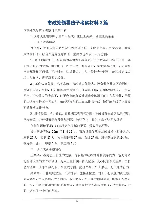 市政处领导班子考察材料3篇