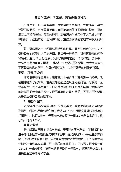葡萄V型架、T型架、篱笆架的优劣势