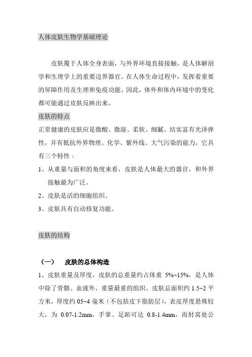 皮肤的构造