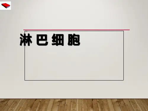 免疫细胞