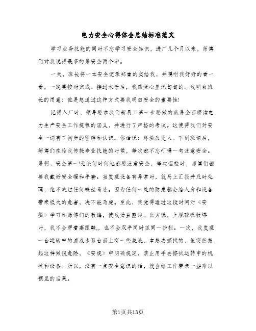 电力安全心得体会总结标准范文(5篇)